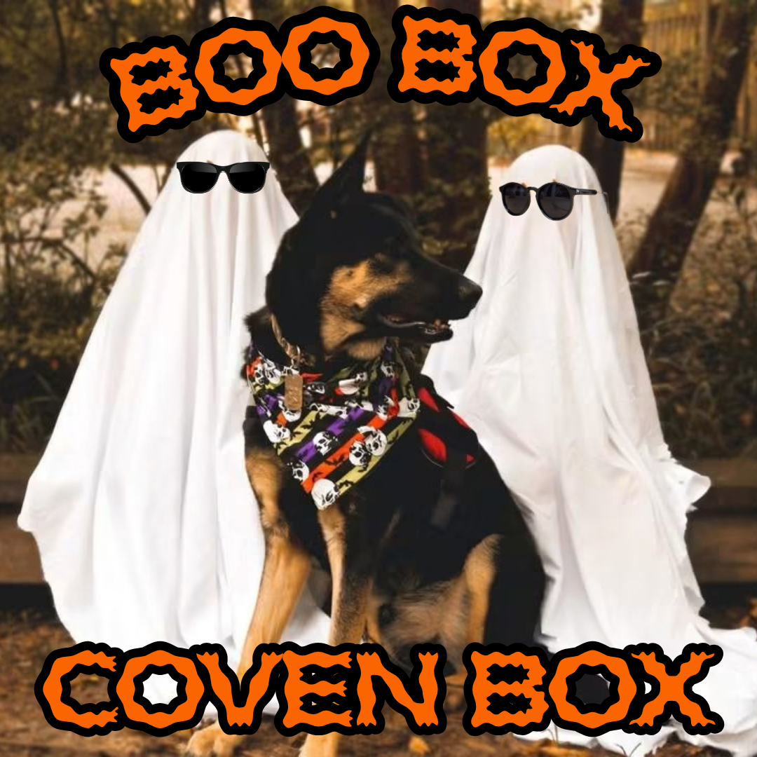 BOO BOX COVEN BOX