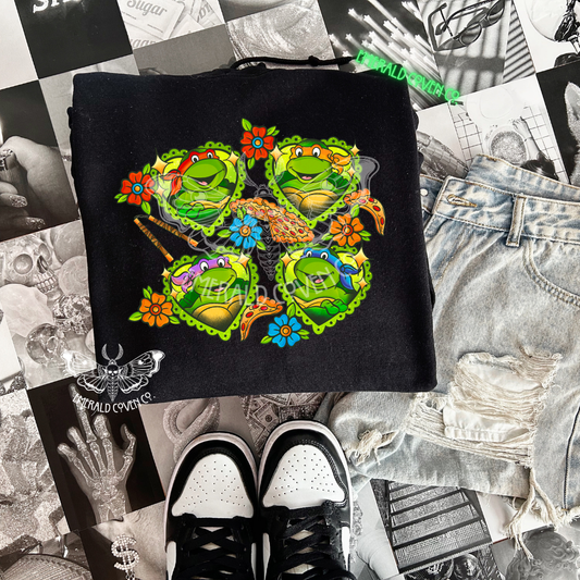TURTLES FLASH