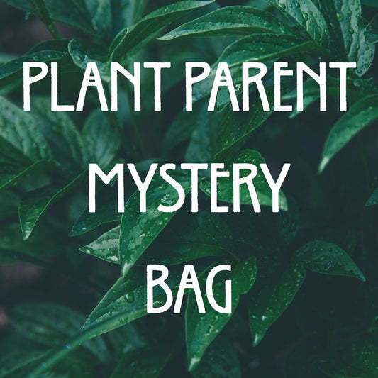 PLANT PARENT MYSTERY