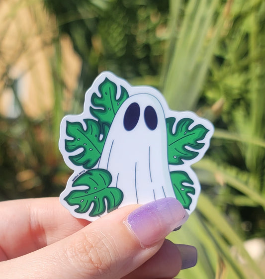 MONSTERA GHOST